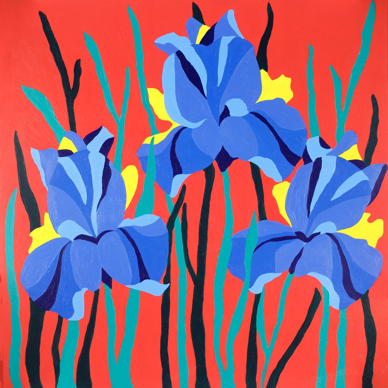 Irises