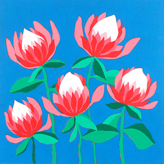 Proteas