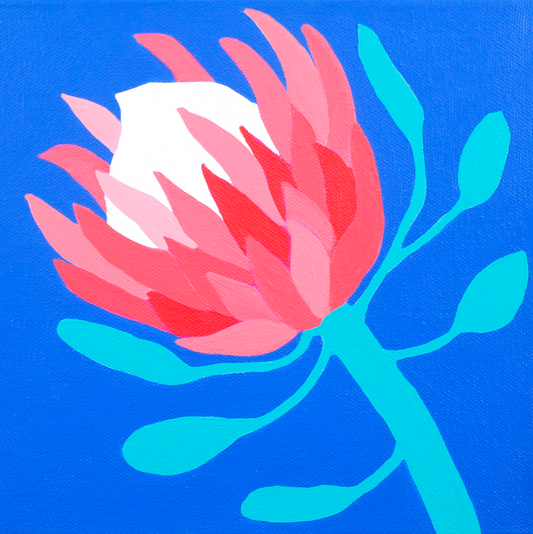 Protea