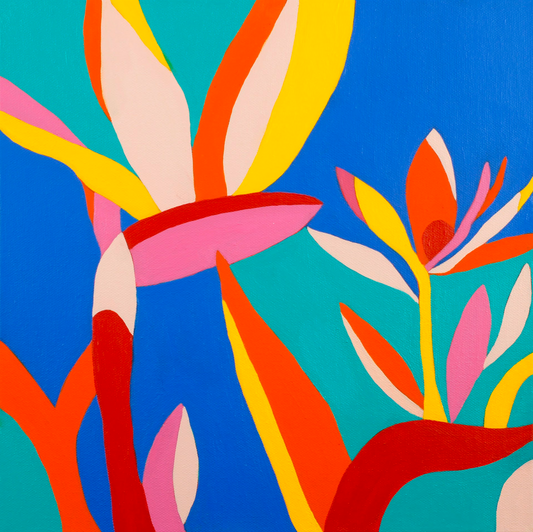 Bird of Paradise