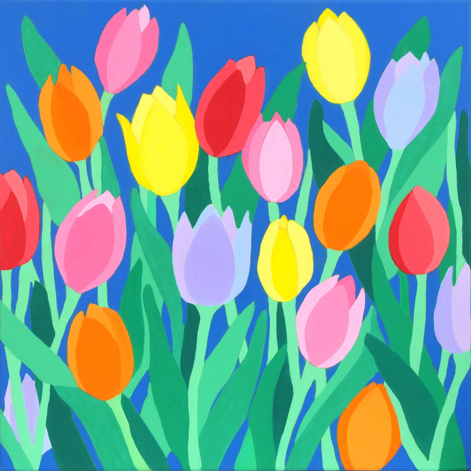Tulip Mania