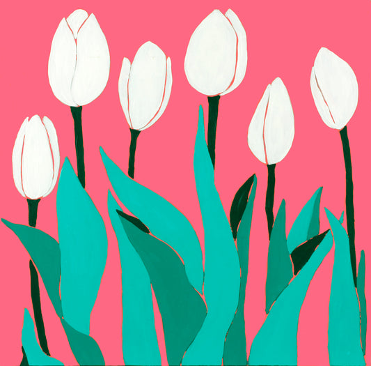White Tulips